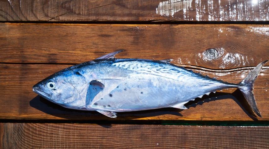 오메가3 효능섭취법으로 관리하는 심혈관·두뇌 건강