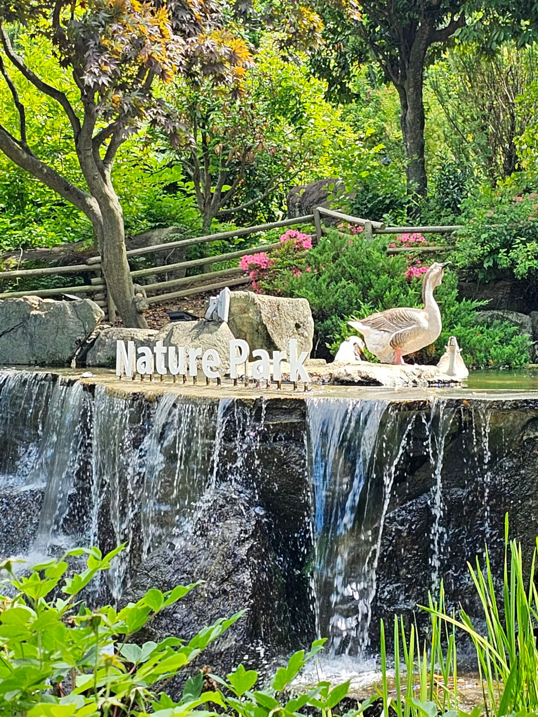 네이처파크 입구