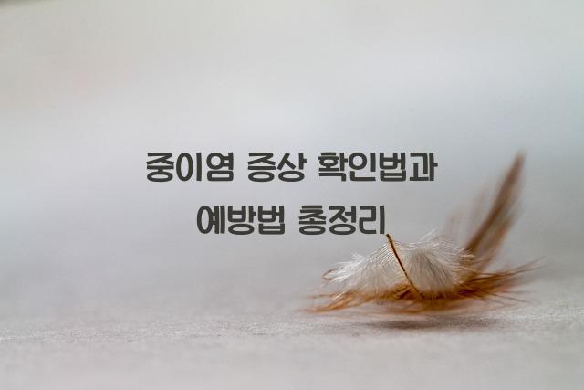 중이염 증상