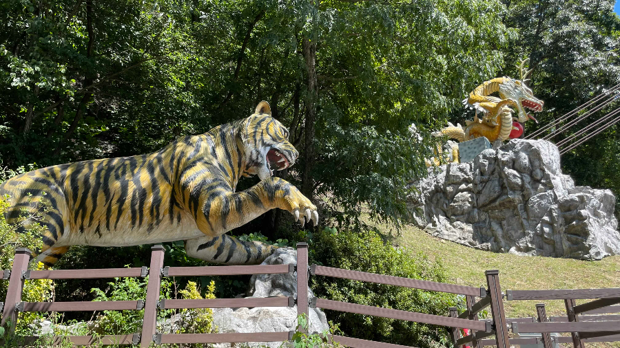 청양 천장호 출렁다리