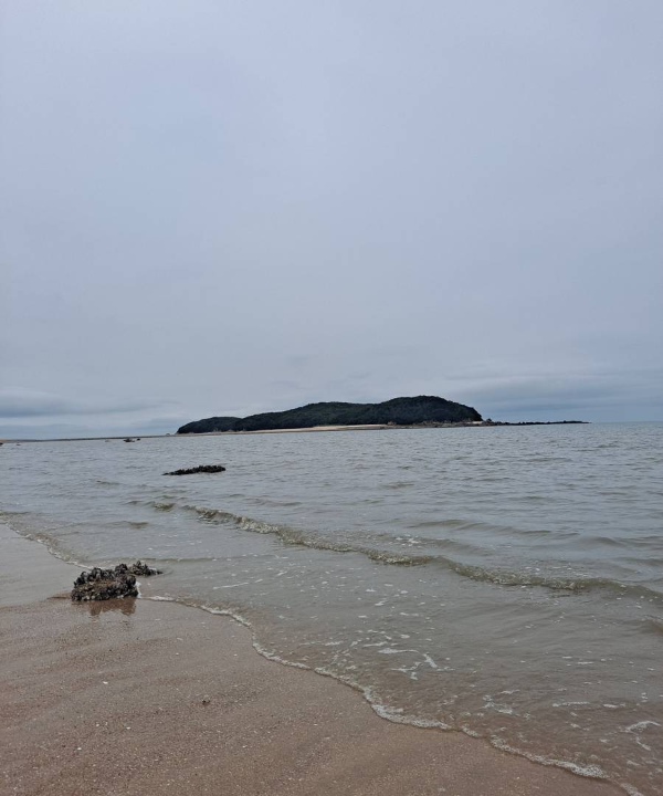 저 멀리 실미도가 보이다
