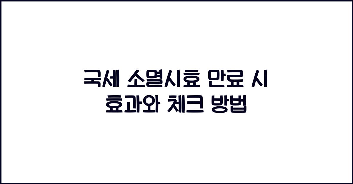 국세 소멸시효