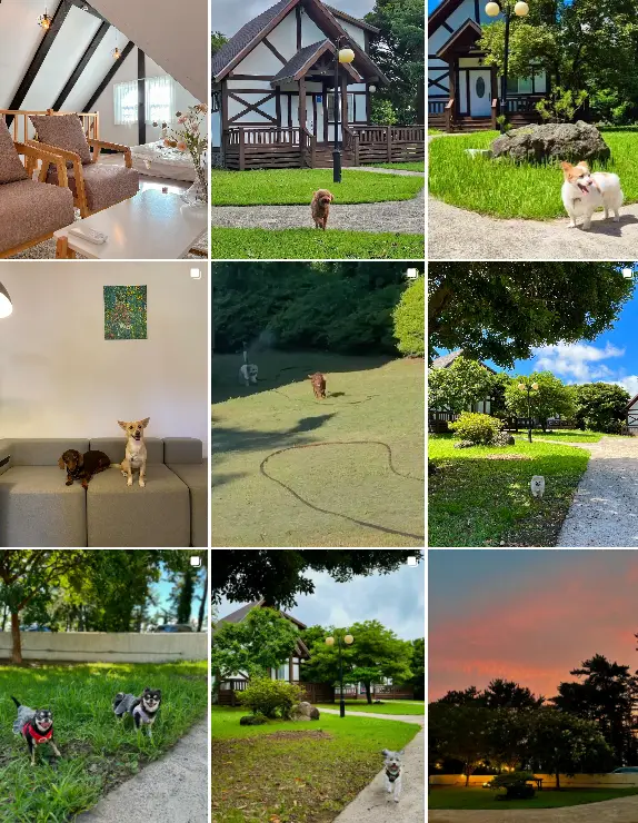 더포레스트애월 인스타그램 사진