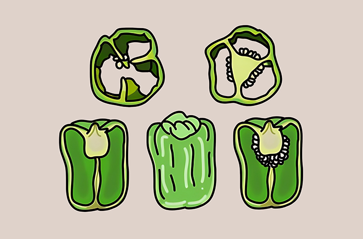 피망-하루-섭취-권장량