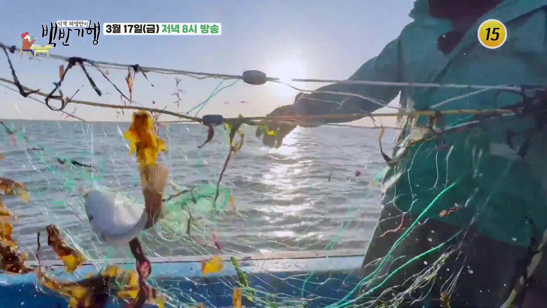 허영만의 백반기행 충남 당진 도다리 찜 쌈밥 맛집