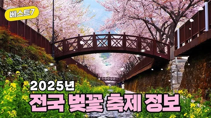 2025년 벚꽃축제 일정 시기 명소_2
