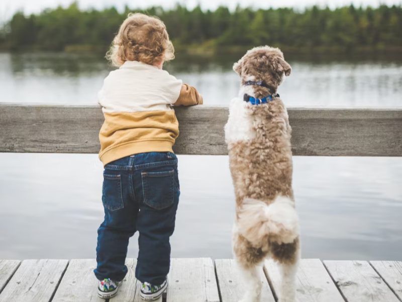 나란히 호수를 바라보고 있는 강아지와 아기