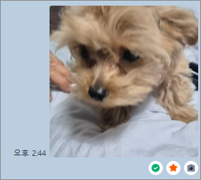 태그 3개가 달린 모습입니다.