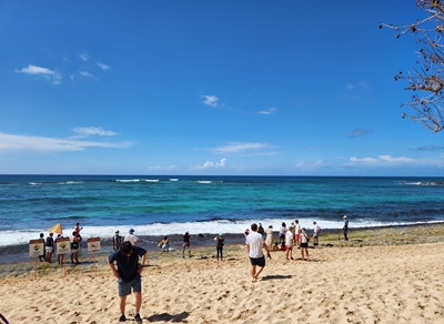 라니아케아비치