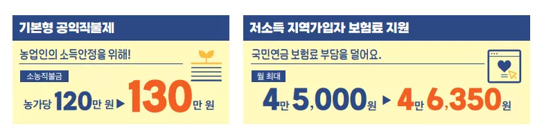 공익직불제