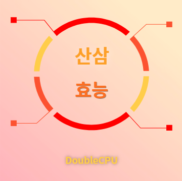 산삼 효능