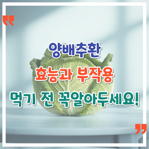 양배추환-효능과-부작용-먹기-전-꼭-알아두세요