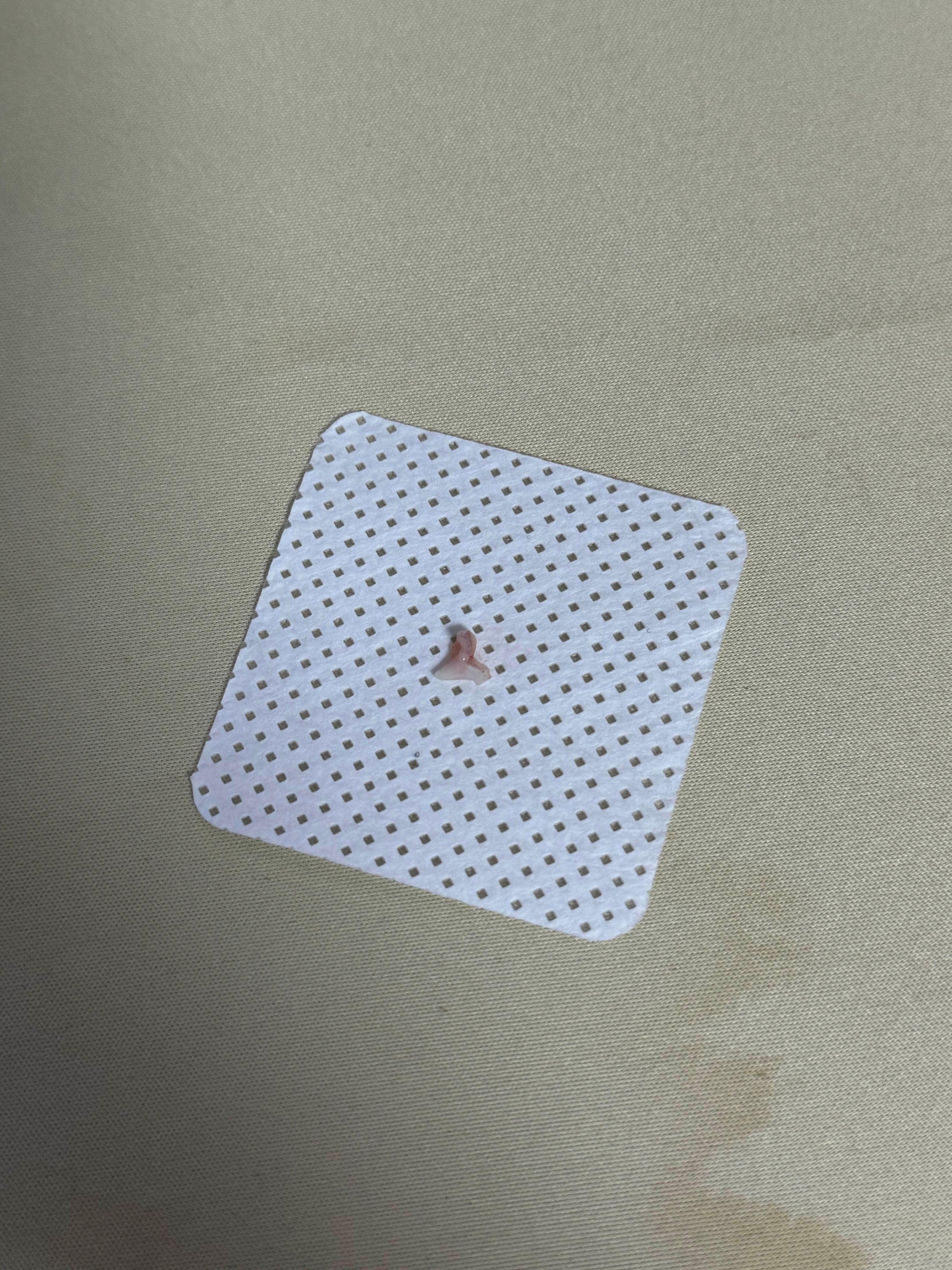 ๋ฅ
