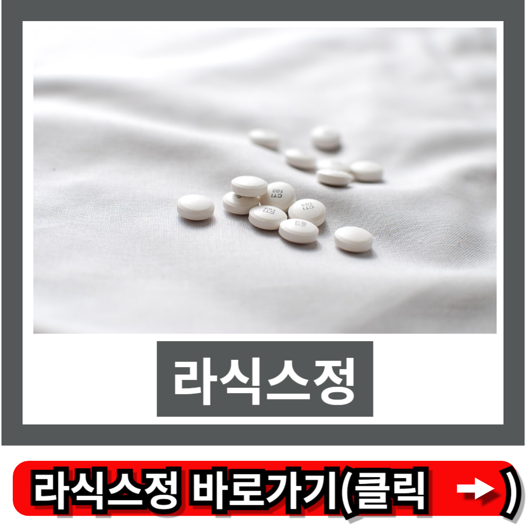 라식스정