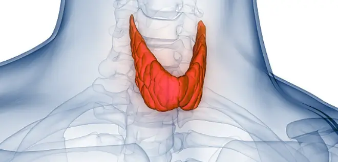 후두암 초기증상