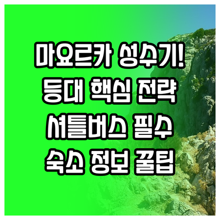 성수기 마요르카 등대 가는 가장 쉬운..