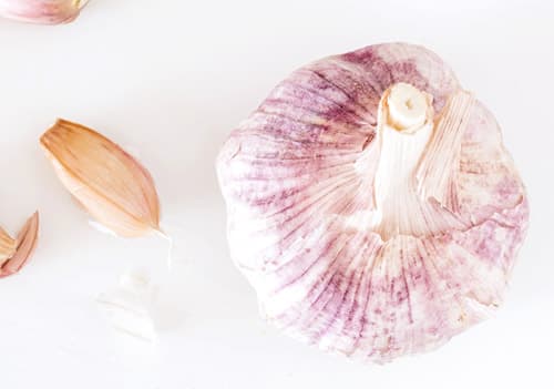 에스트로겐 부작용