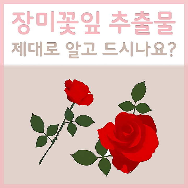 장미꽃의-모습