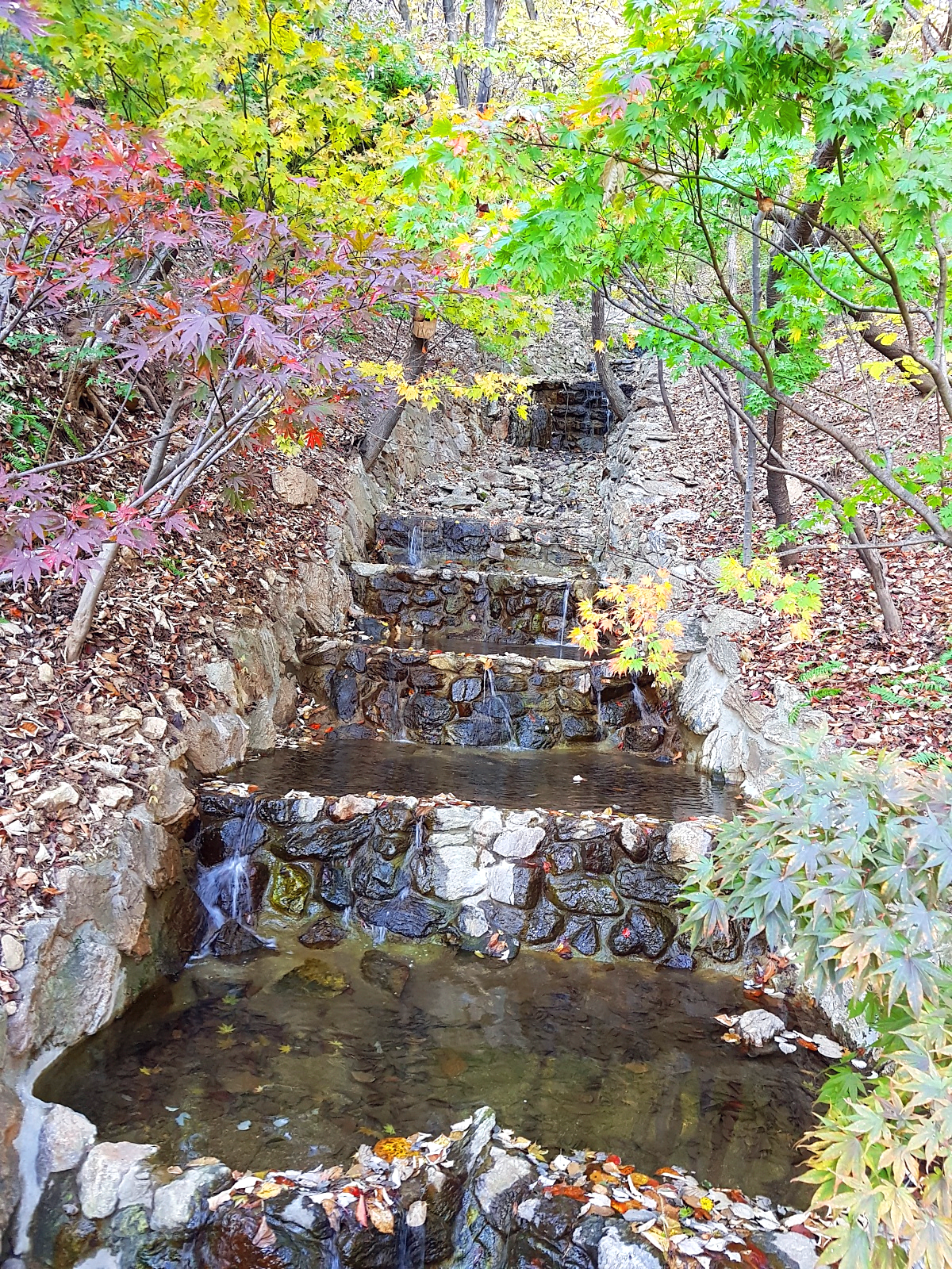 경기도 광주 곤지암 화담숲 단풍시즌, 가을 풍경 퍼레이드와 주변 맛집