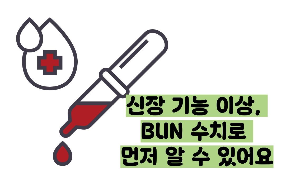BUN 수치
