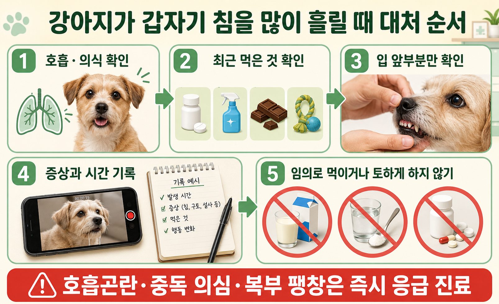 강아지가 갑자기 침을 많이 흘릴 때 호흡 확인부터 섭취물&middot;입안 확인과 증상 기록까지의 대처 순서