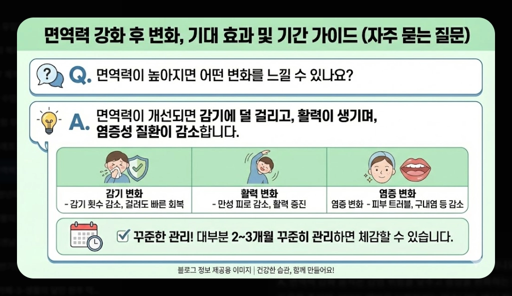 면역력 높이는 음식 베스트 10 [2026년판] 강화 식품 섭취법 및 생활 습관 총정리