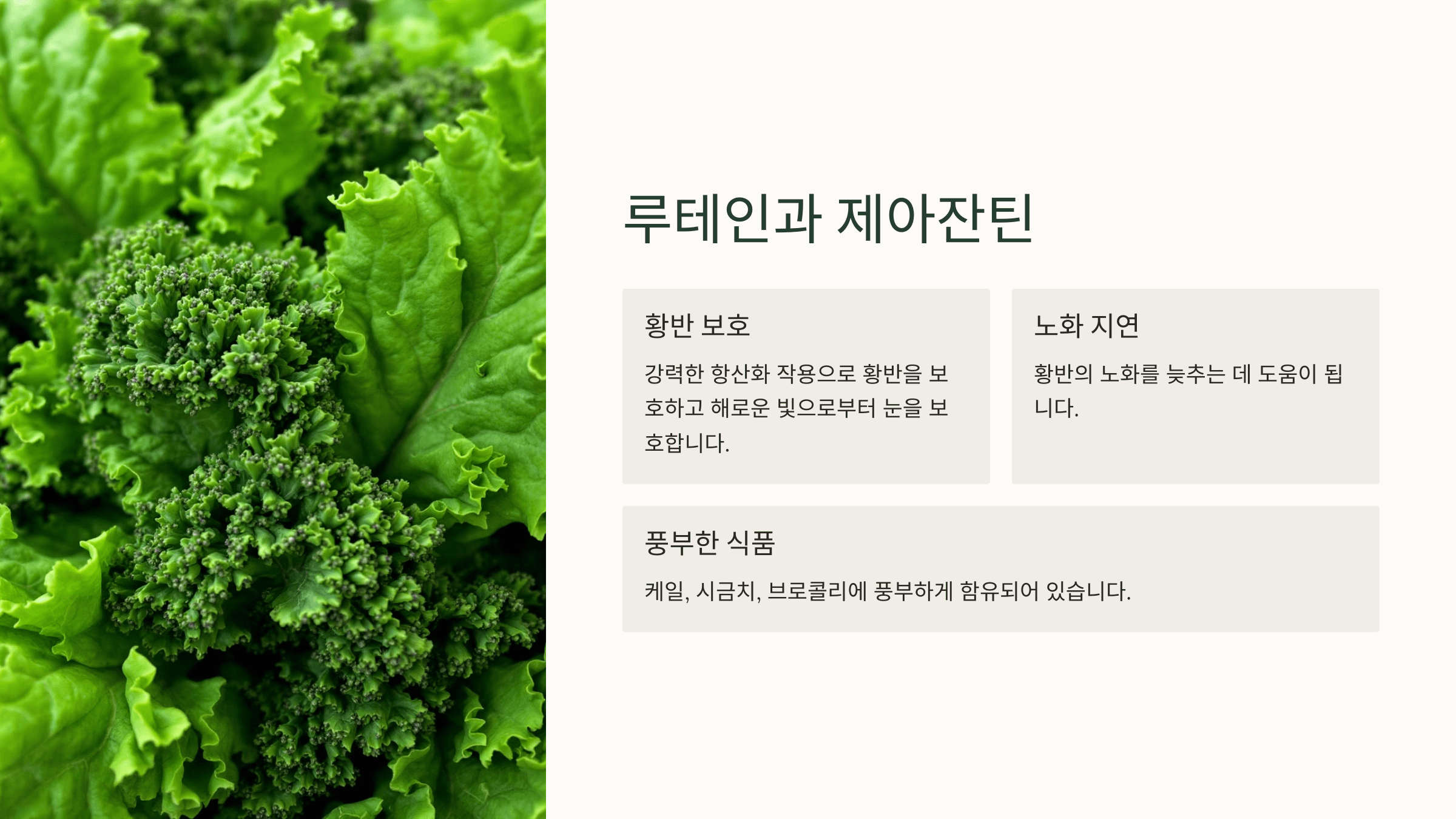 황반변성과 관련된 사진입니다.