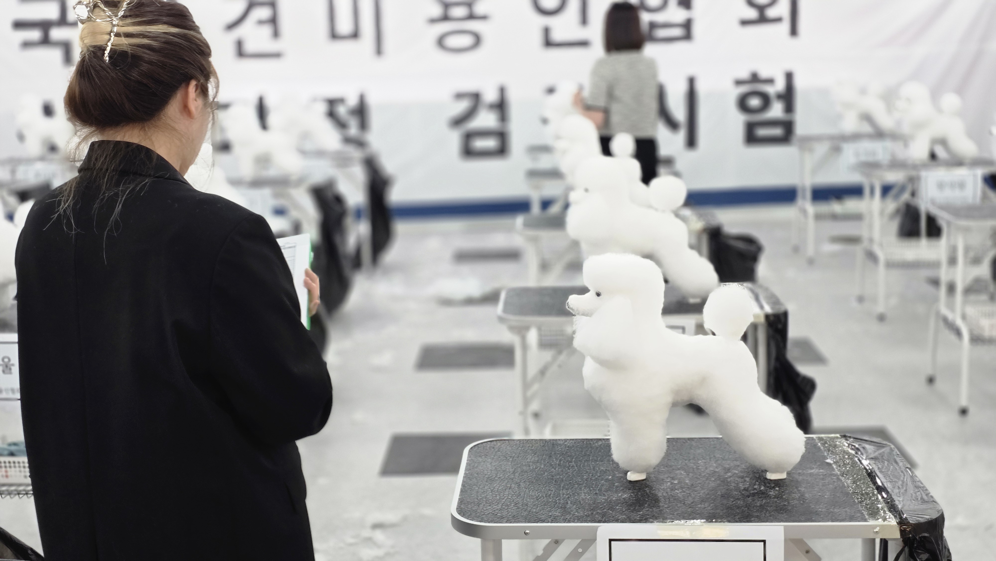 애견미용사자격증