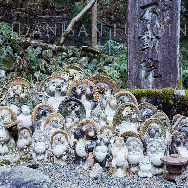 교토 여행 추천 명소 2. 교토시 사쿄구(左京区) - 타누키다니노 부동원(狸谷山不動院)