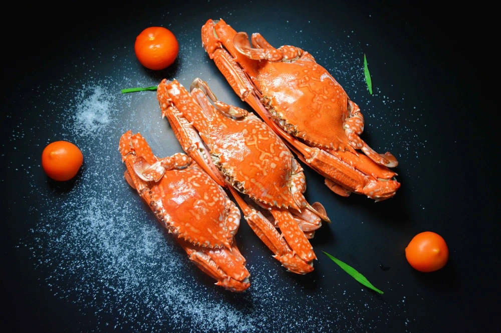 꽃게-행사-기간