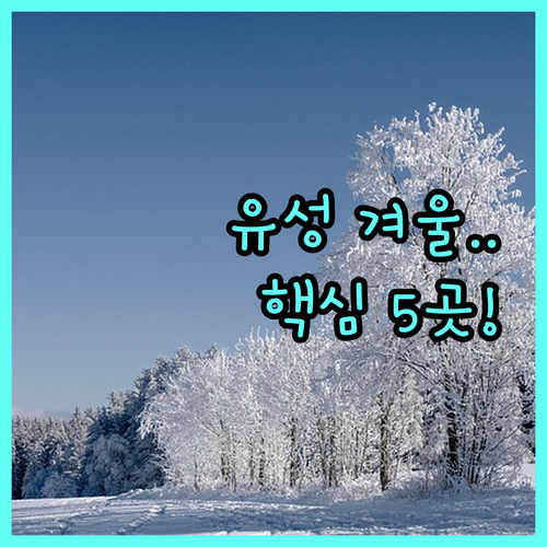 대전 유성구 겨울 여행지 명소 5곳 ..