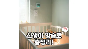 방습 관리 제습제 교체와 위치 선정 곰팡이 예방_4