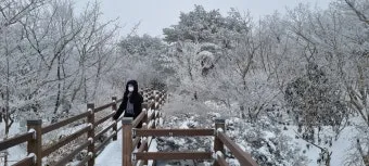 한라산 고지대 체감온도 방풍 재킷 스틱 준비물_16
