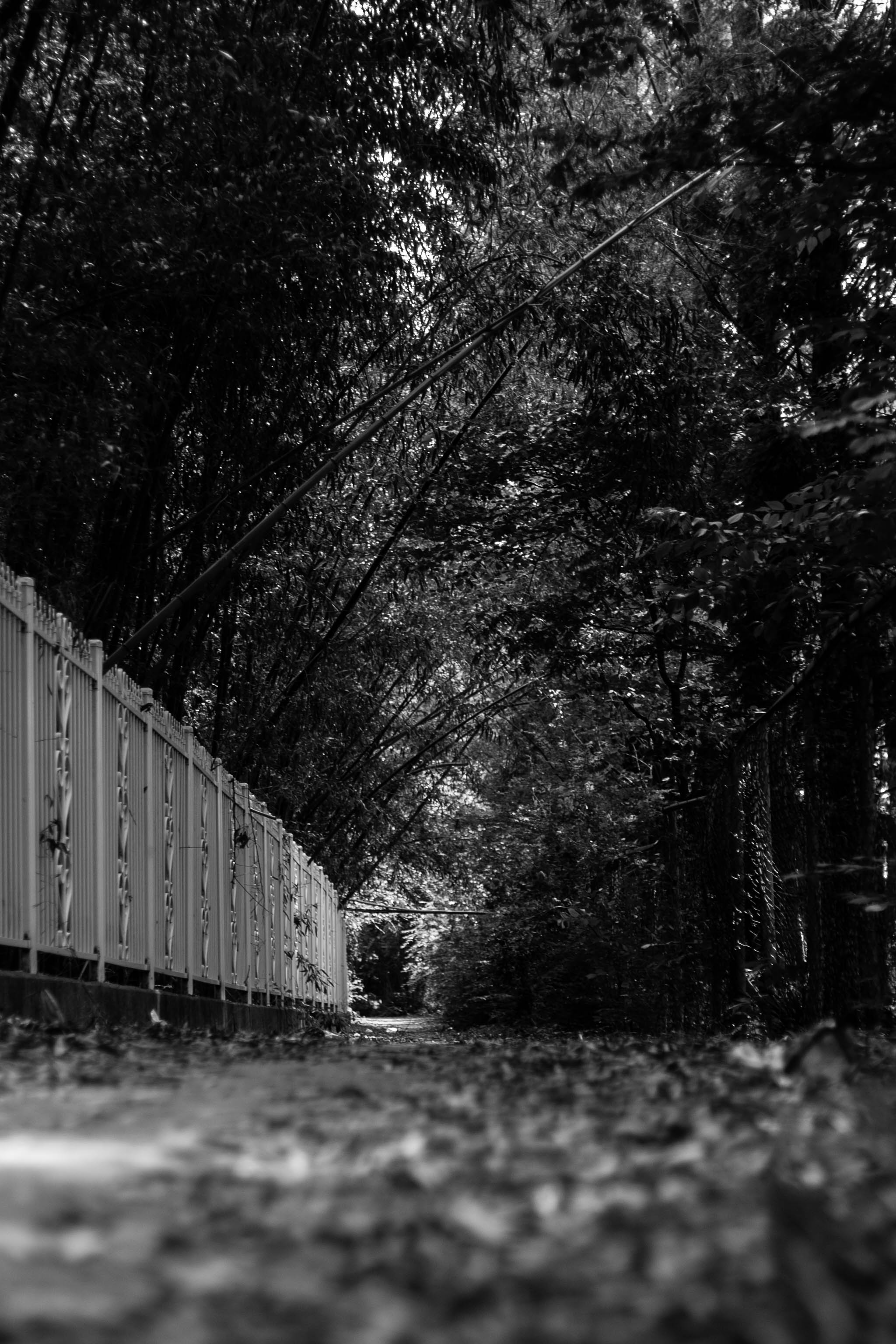 소니 A7M3 풀프레임 미러리스의 대표 주자