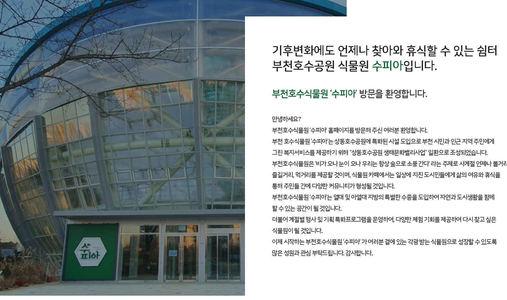 부천수피아 식물원 야간개장