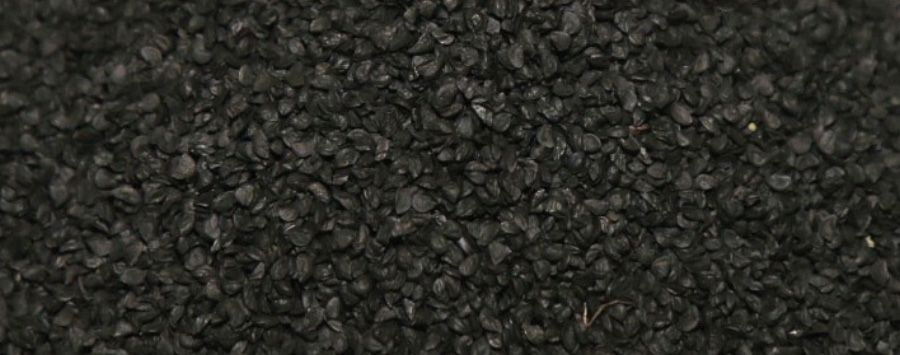 야생에서 채취를 한 부추의 씨인 검은색 구자를 바닥에 수북하게 놓아두고 확대를 하여 찍은 사진