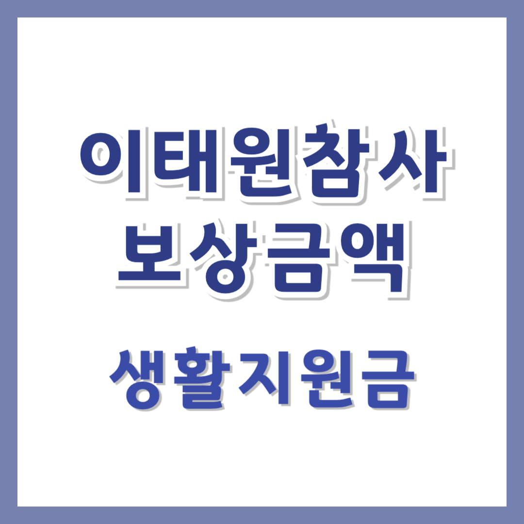 이태원 참사 보상금액