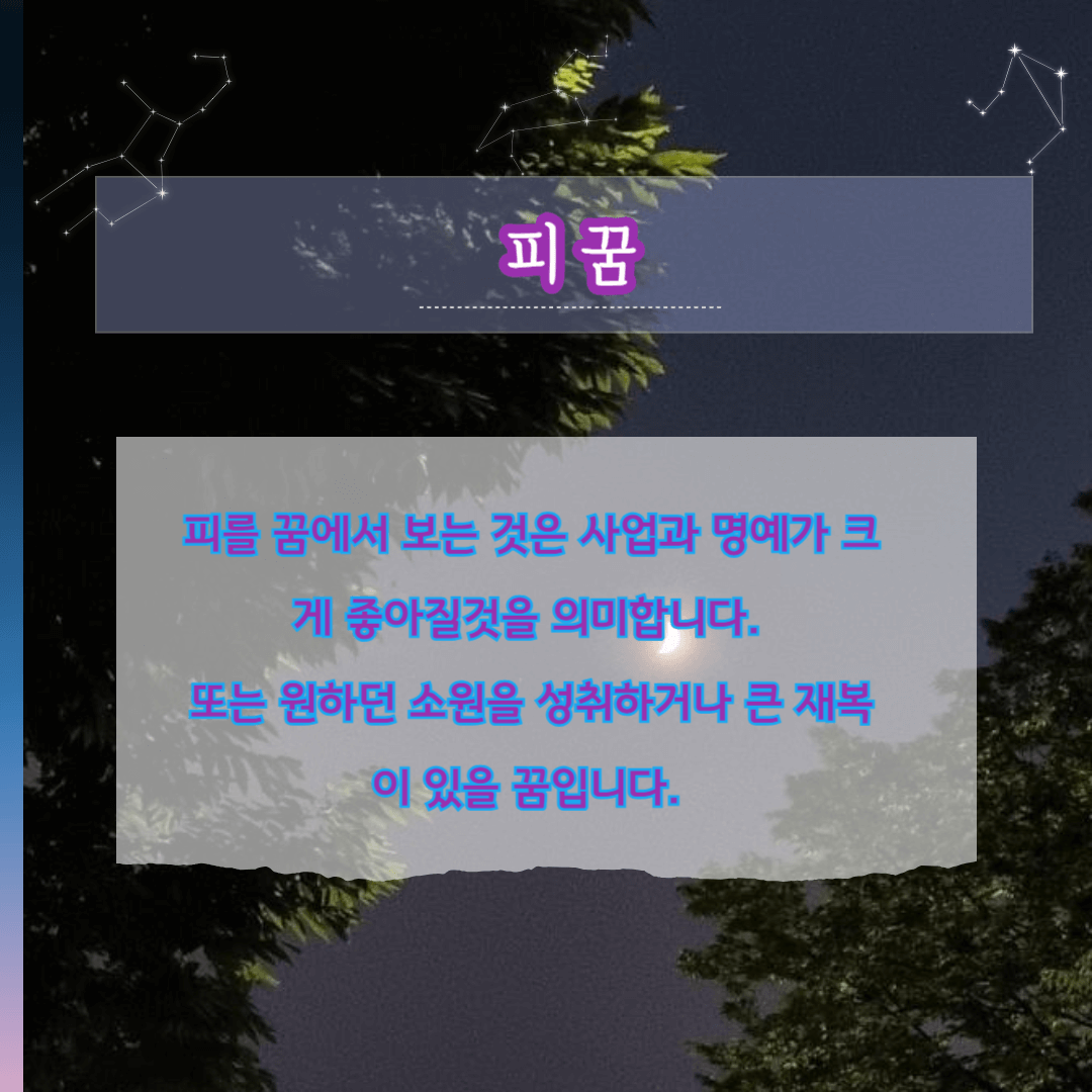 로또당첨되는 꿈-피꿈