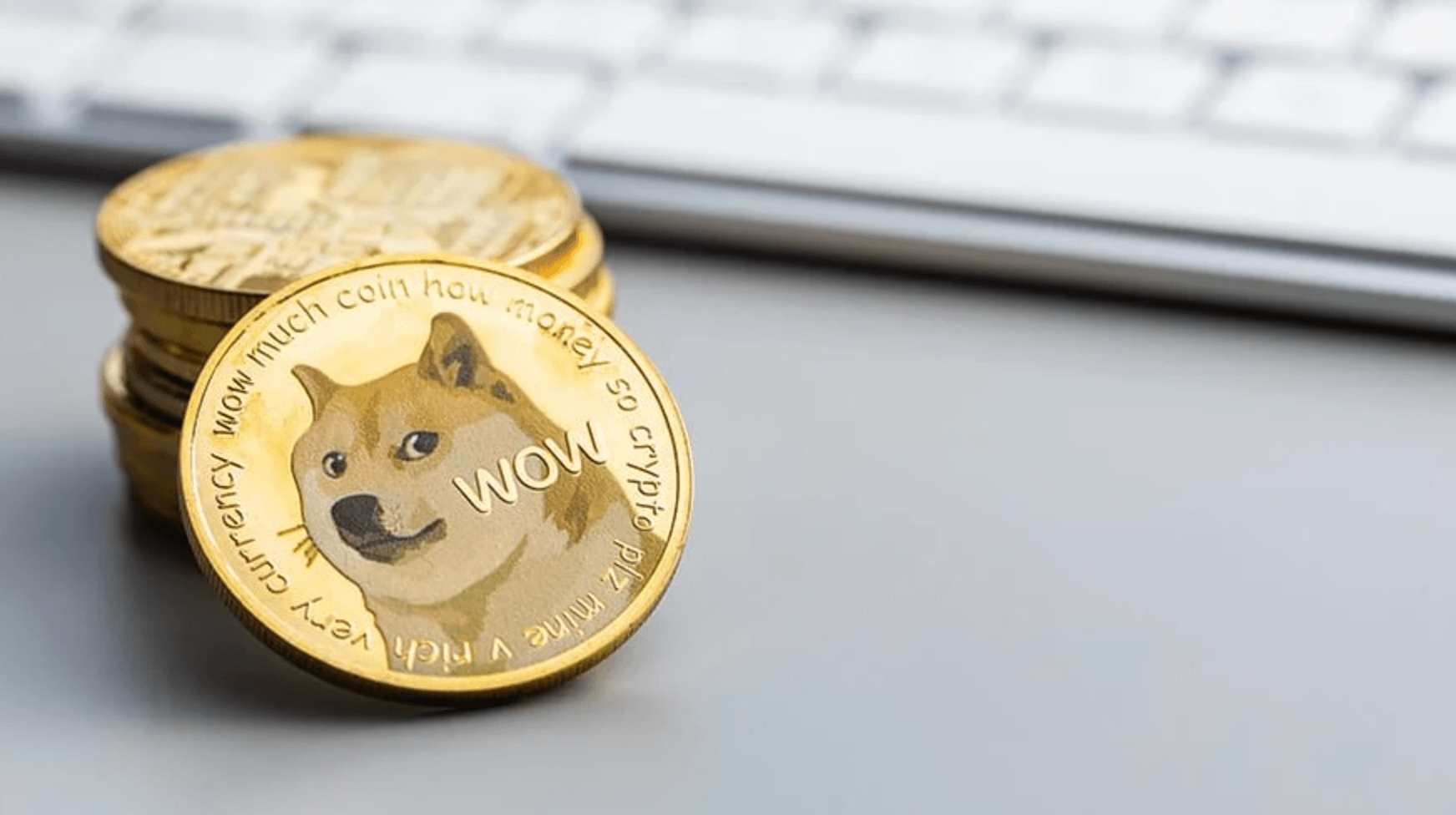 도지-코인-전망