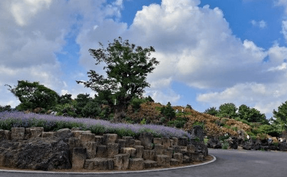 동쪽 송당동화마을 &ndash; 최근 핫플레이스로 떠오르는 테마 마을