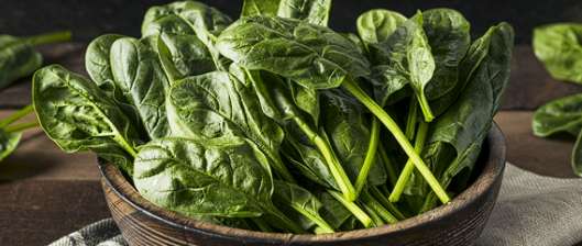 혈액순환에 좋은 음식 - 시금치