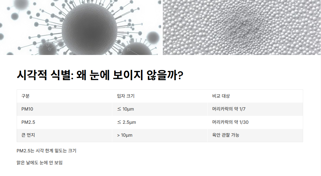 시각적-식별:-왜-눈에-보이지-않을까?