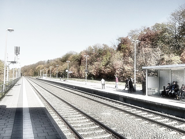 서해금빛열차 예약 방법(온돌)