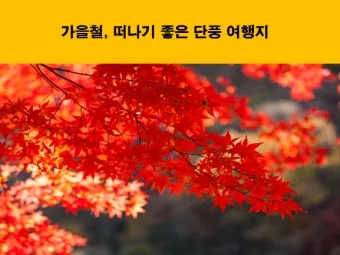 가을 단풍 여행지 베스트10 산책로 사진스팟 대중교통으로 여유롭게_7