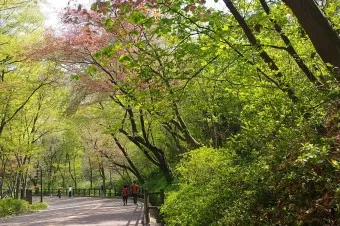 남산둘레길 코스 지도 소요시간 맛집_16