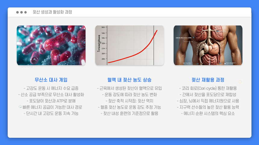 젖산, 피로의 적인가 운동 효과를 바꾸는 비밀의 열쇠!