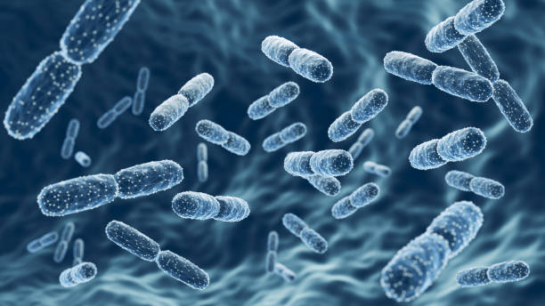 장내 미생물과 체중 감량