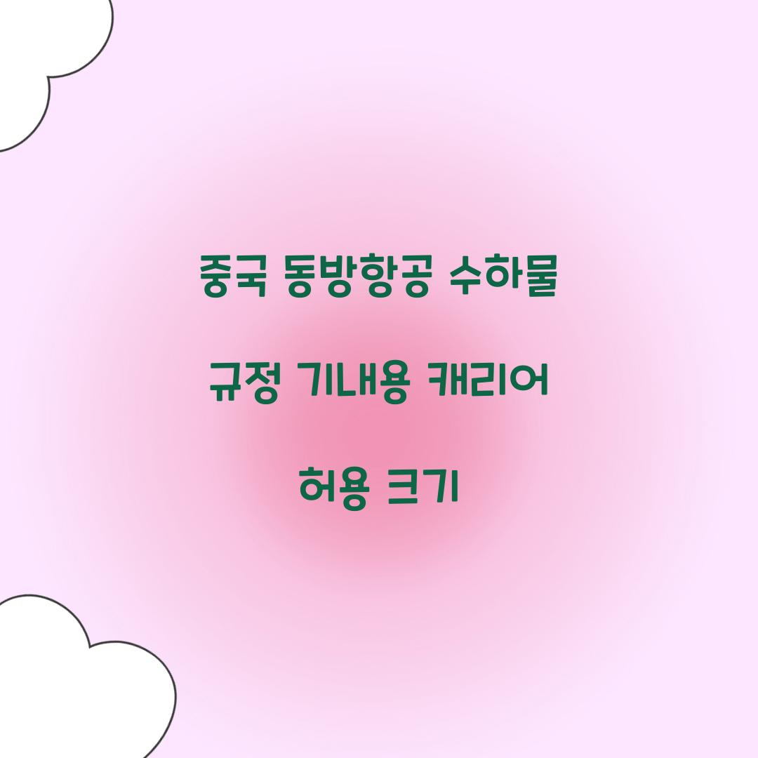 중국 동방항공 수하물 규정 기내용 캐리어 허용 크기 
