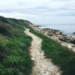 The Path beside beach