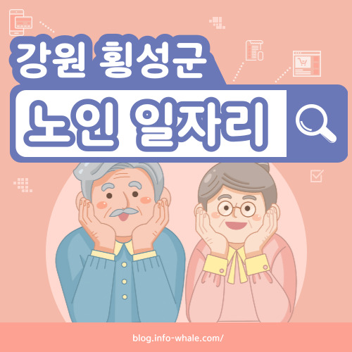 횡성군 노인일자리 구직
